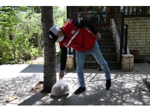 Gölbaşı Belediyesi Tavuklarına Yem İsteyen Fatma Teyzenin İsteğini Geri Çevirmedi