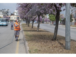 Mersin’de Haşere İle Mücadele Çalışmaları Sürüyor