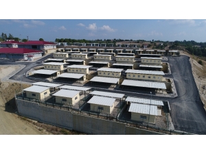 Sokak Hayvanlarına Modern Barınak