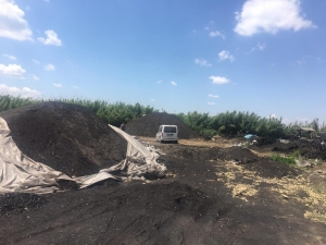 Adana’da Ruhsatsız Mangal Kömürü Üretimine Son Verildi