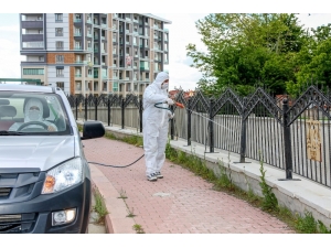 Meram’da Haşereyle Mücadele Başladı