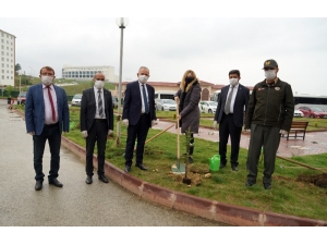Karantina Süresini Tamamlayıp Memleketlerine Gidenlere Fidan Hediye Edildi