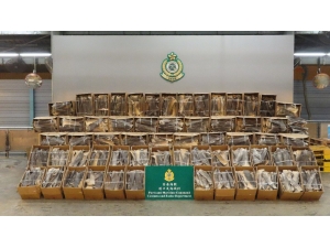 Hong Kong’da 1.1 Milyon Dolar Değerinde Kurutulmuş Köpek Balığı Yüzgeci Ele Geçirildi