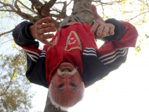 Ağaca Baş Aşağı Asılan Yaşlı Adam Polisi Alarma Geçirdi