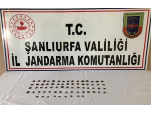 Roma Dönemine Ait 70 Bronz Sikke Ele Geçirildi