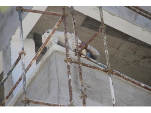 Köpek İnşaat Halindeki Binanın 6’ıncı Katına Çıkınca