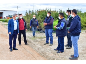 Yeşilyurt Belediyesi, Fidanlık Alanı’nı Yeniliyor