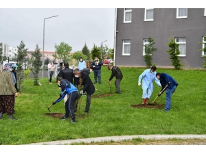 Karantina Anısına Fidanları Toprakla Buluşturdular