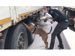 Kocaeli Tem’de Durdurulan Tırda 155 Kilo Eroin Ele Geçirildi