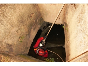 Su Dolu Kuyuda 3 Gün Hayat Mücadelesi Veren Yavru Kediyi Kurtarmak İçin Seferber Oldular