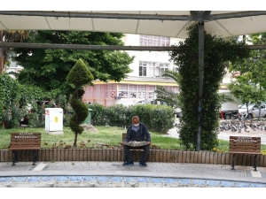 İzmir’de 65 Yaş Üstü Vatandaşlar İçin Tek Kişilik Banklar