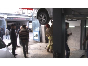 ’Yılan Merakı’, Korona Virüs Korkusunun Önüne Geçti