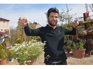 Türkiye’nin Her Bölgesinden Getirdiği Bitkilerle Botanik Bahçe Oluşturdu