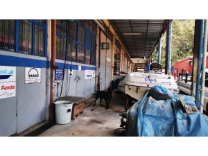 Pitbullun Saldırdığı Köpek Görevinin Başında