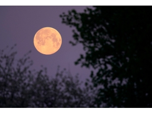 2020’nin Son Süper Ay’ı Hayran Bıraktı