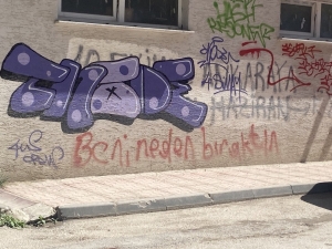 Duvar Yazıları Görüntü Kirliliğine Neden Oluyor