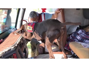 Şüphe Üzerine Durdurulan Kamyondan Uyuşturucu Çıktı