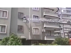 Pencereye Sıkışan Güvercin Kurtarıldı