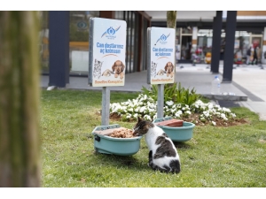 Sultangazi’den Sokak Hayvanlarına Mama Desteği