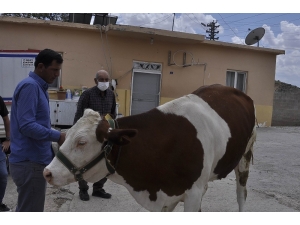 “Biz Bize Yeteriz” Kampanyasına İneğini Bağışladı