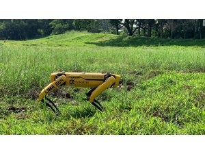 Singapur’dan Koronaya Karşı “Robot Köpek” Önlemi