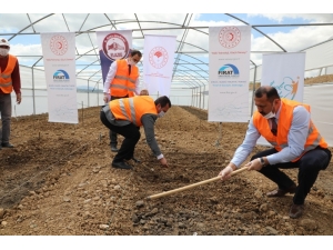 Elazığ’da Çiftçiye 2 Milyon Fide Desteği İçin Üretim