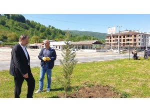 Başkan Şahin Çalışmaları Yerinde İnceledi