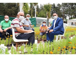 Başkan Yılmaz’dan Annelere 100 Bin Kadife Çiçeği