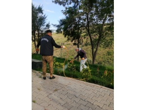 Çiğli Parklarında Çim Ve Bitkilere Özel Bakım