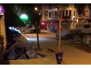 Bilecik’te Sansar Şaşkınlığı