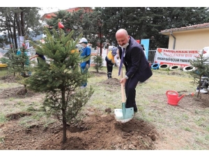Amasya’da Organ Bağışçılarının İsimlerinin Yaşatılacağı Parka Fidanlar Dikildi