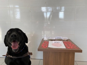 Jandarma’dan Uyuşturucu Operasyonu