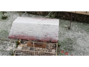 Erzurum’a Mayıs Ayında Kar Yağdı