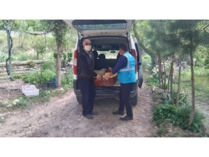 Bahçesinde Yetiştirdiği Elmaları Kampanyaya Bağışladı