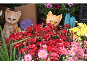 Anneler Günü Öncesi Çiçekçilerde Son Gün Yoğunluğu