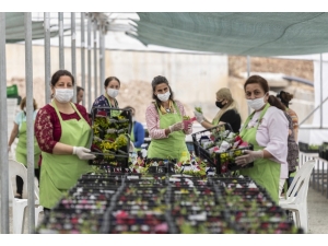 Mersin’de ’Anneler Günü’nde 8 Bin Çiçek Dağıtılacak