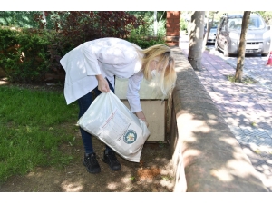 Manisa Büyükşehir’in Mama Desteği Sürüyor