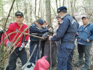 Bolu’da, Kaybolan Yaşlı Kadını Jandarma Timleri Buldu