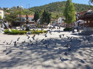 Nallıhan’da Cumhuriyet Meydanı Güvercinlere Kaldı