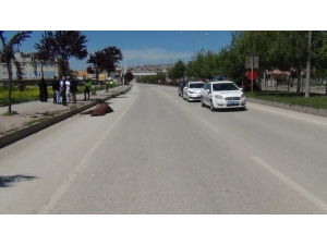 Sokağa Çıkma Kısıtlamasında Akıl Almaz Kaza...otomobil Ata Çarptı