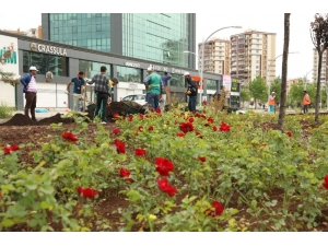 Büyükşehir Çalışıyor, Diyarbakır Yeşilleniyor