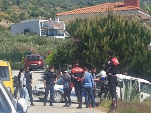 Kuşadası’nda Köpeğe İşkence İddiası Hayvanseverleri Ayağa Kaldırdı