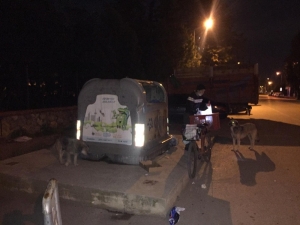 Sokak Hayvanlarını Elleriyle Besliyor