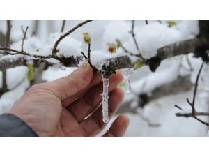 Meteoroloji’den ’Zirai Don’ Uyarısı