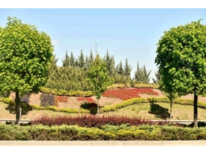 Başkent Çiçeklerle Güzelleşiyor