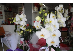 Anneler Günü’nde Çiçek Satışları Geçmiş Senelere Göre Rekor Kırdı