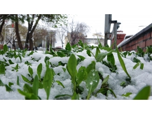 Batıda Yaz Doğuda Kış