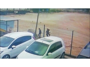 Hırsızlık Uğruna Canlarını Hiçe Saydılar