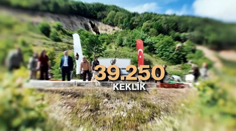 kene-ve-kahverengi-kokarcaya-karsi-dogal-mucadele-51-bin-keklik-ve-sulun-salinacak