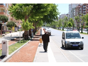 Yaşlıların Sokak Keyfi